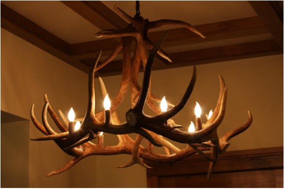 Elk antler chandeliers and lighting